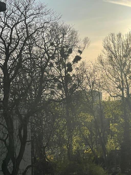 Stilvolles Augarten Refugium Вена Экстерьер фото
